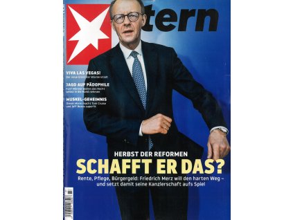 magazin Stern DE 2025037