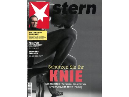 magazin Stern DE 2025040