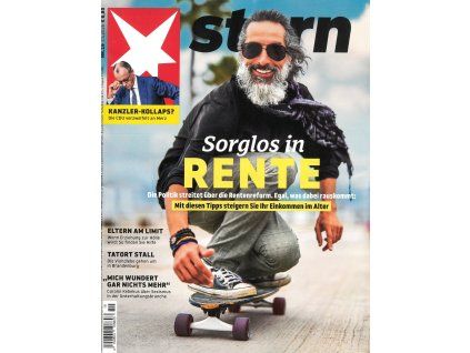 magazin Stern DE 2026019