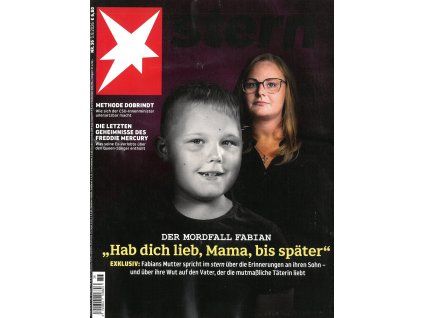 magazin Stern DE 2026036