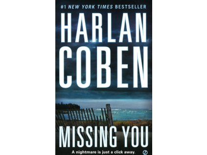 book Missing You EN