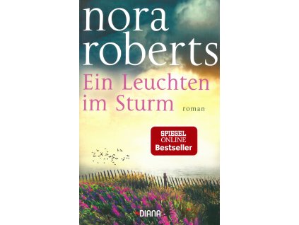 book Nora Roberts Ein Leuchten im Sturm DE