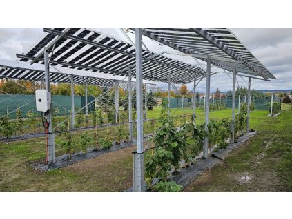 Maliny Bragen Agrovoltaika PB 790x445