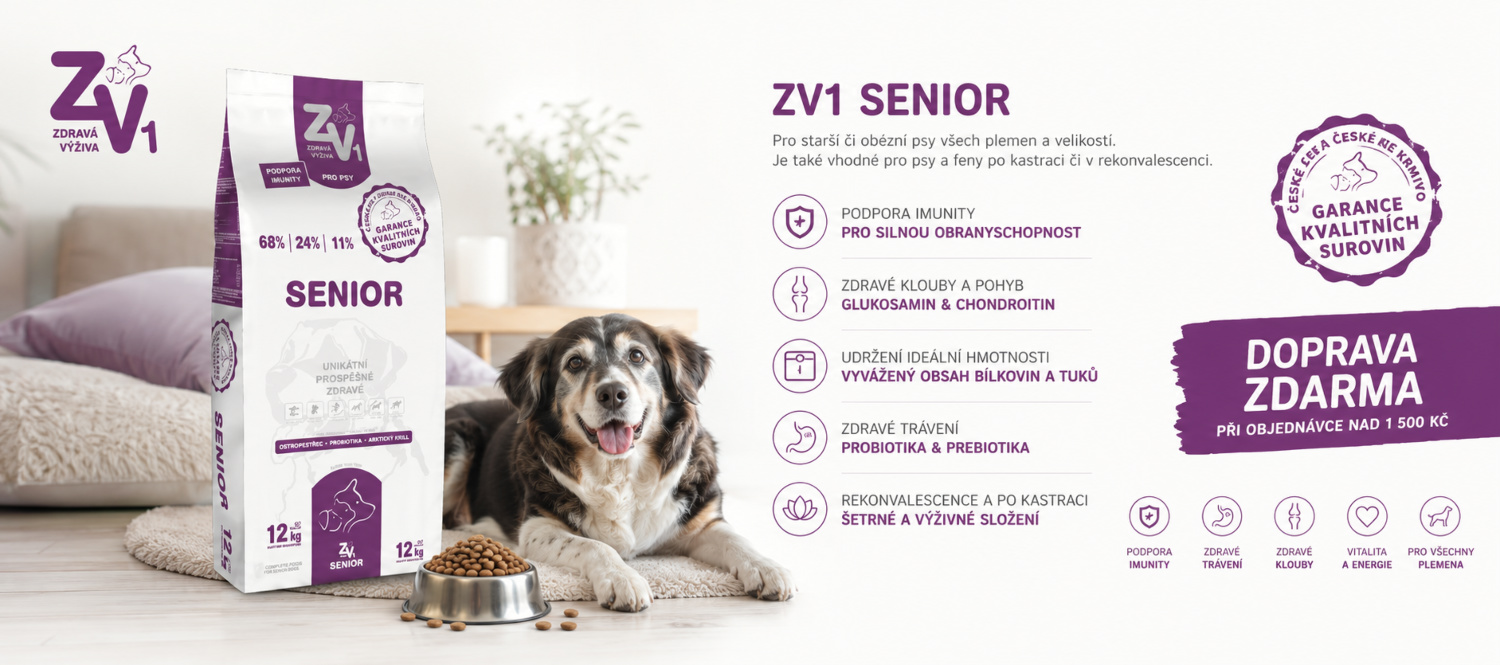 Senior