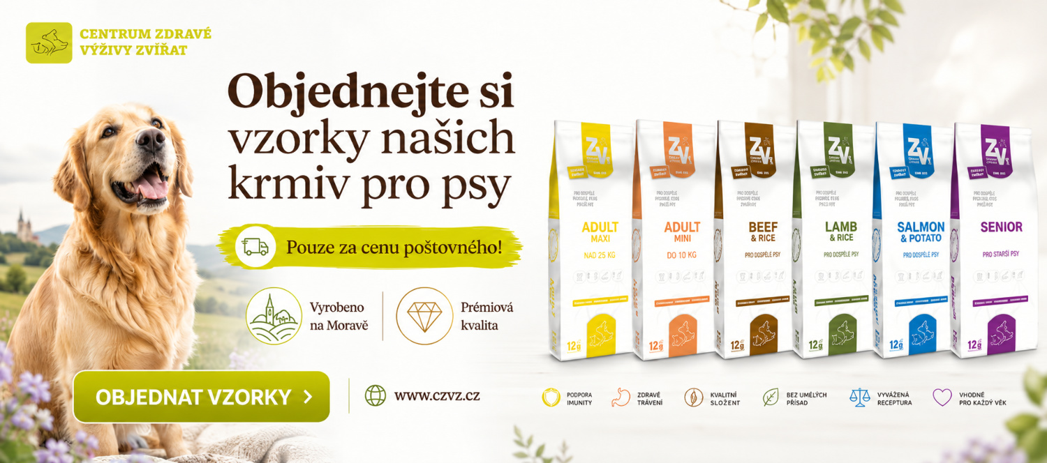 Vzorky