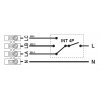 INTER4Pschema