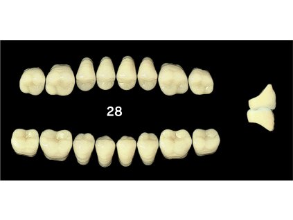 Efucera PX 4 sety 4 x set 8 zubů
