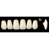 NEW ACE anterior - upper  1x set 6 zubů
