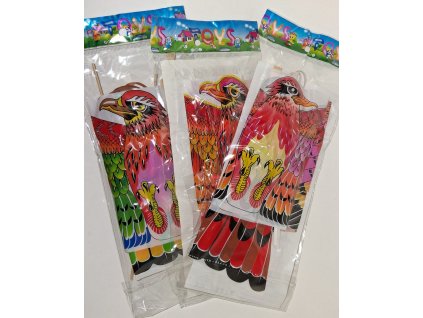 Létací drak - orel