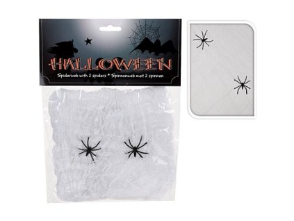 Pavučina se 2 pavouky