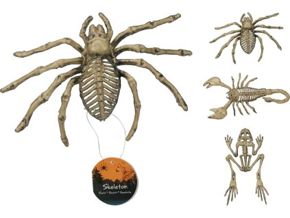 Halloweenská kostra