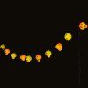 Halloween LED Garland