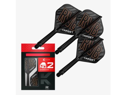 raymond van barneveld k flex intermediate no 2 02