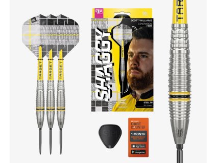 scott williams g2 darts set 2