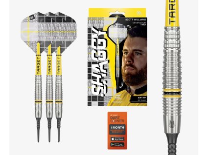 scott williams soft tip darts 2
