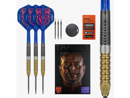 target darts raymond van barneveld g6 steel tip darts 1