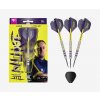 target darts luke littler loadout steel tip darts 04