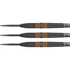 raymond van barneveld 80 black sipky1