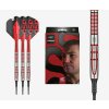 target darts nathan aspinall g2 soft tip 10