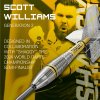 scott williams g2 darts set 4
