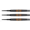 raymond van barneveld 80 black sipky1