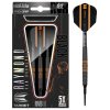 raymond van barneveld 80 black sipky