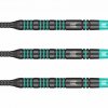 Target Rob Cross 80 Black Softdart Barrel Details