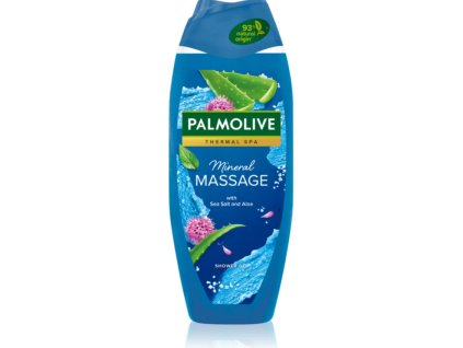 Snímka obrazovky 2025 11 13 151010