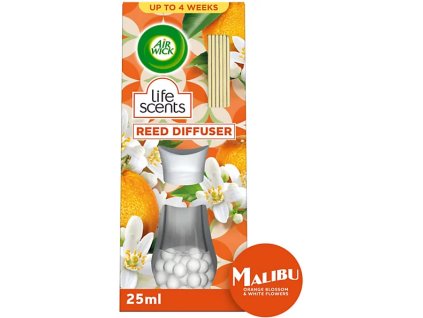 Snímka obrazovky 2026 02 01 174310