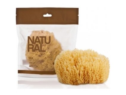 66f2dc62caf43f2d07b458834fe9ab22 mmf400x400