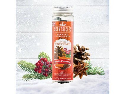 1588 6 t spiced pine cones 10473 11