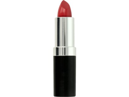 Miss Sporty rúž Colour to Last Matte 201