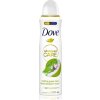 Dove deo 150 ml Matcha Green Tea&Sakura Blossom 0 %