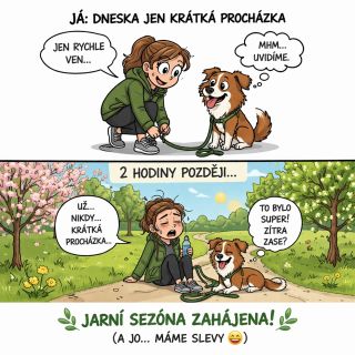 Venku se nám dělá hezky! #pejskari #pejsek #pes #dogcz #dogsofinstagram #doglover #doglife #venčení #prochazka #jaro...