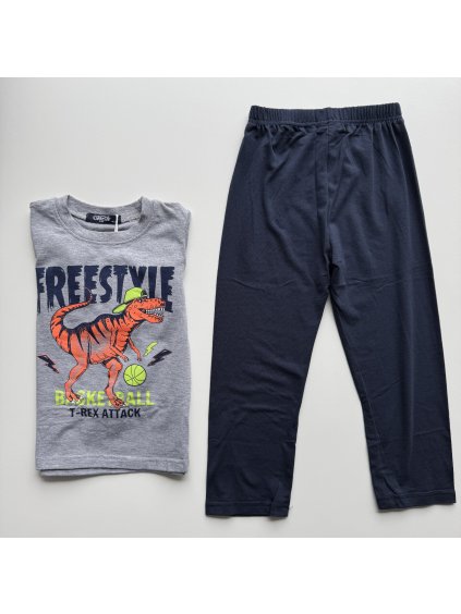 Chlapčenské pyžamo Dino sivé