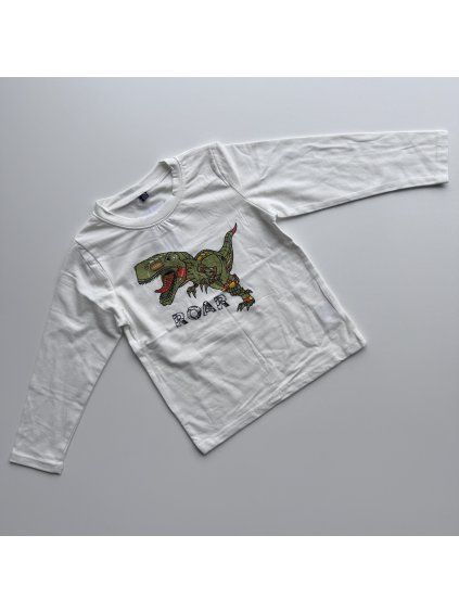 Chlapčenské tričko Roar zelená