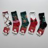 Dámske vianočné ponožky SK06473