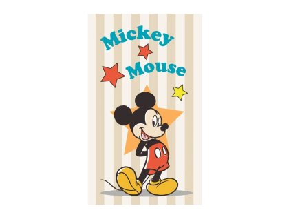 hvezda mickey mouse