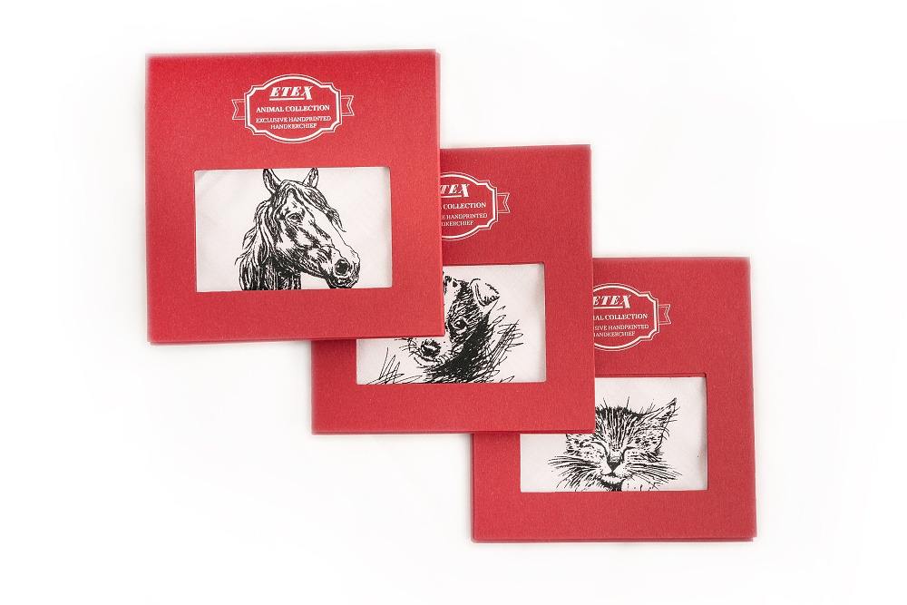 Kapesník L35 dárková krabička Kůň (1 ks)