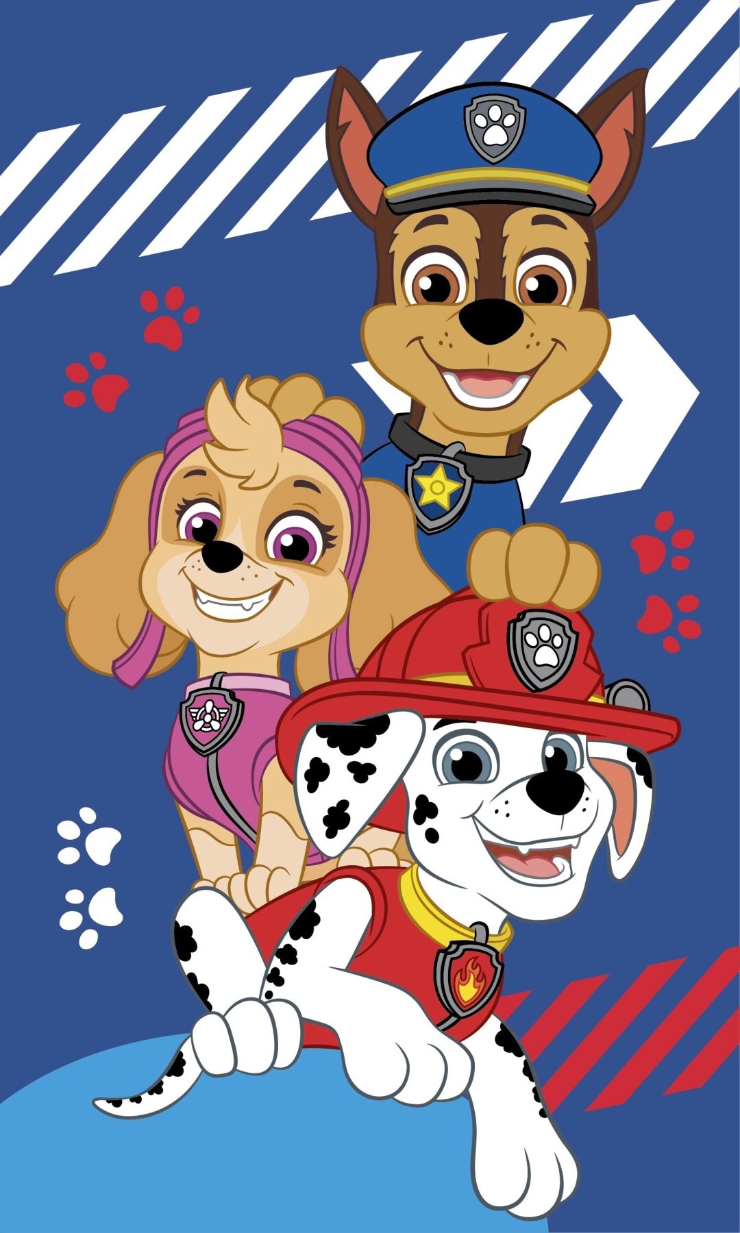 Dětský ručník Paw Patrol Blue 30x50 cm