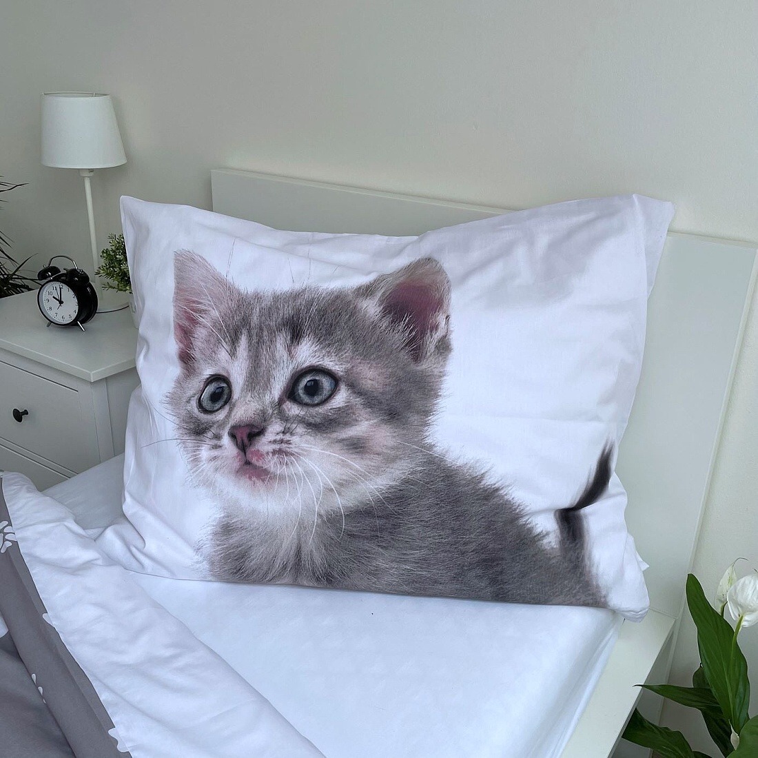 Povlečení fototisk Kitten grey 140x200, 70x90 cm