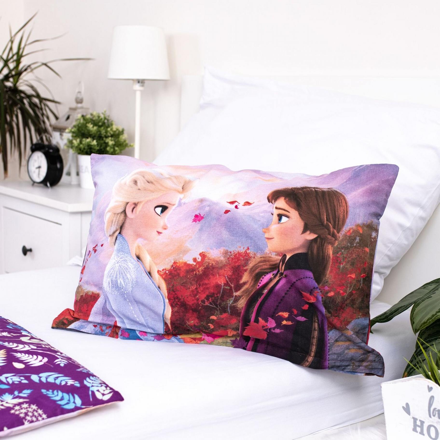 Disney povlečení do postýlky Frozen 2 Wind baby 100x135, 40x60 cm