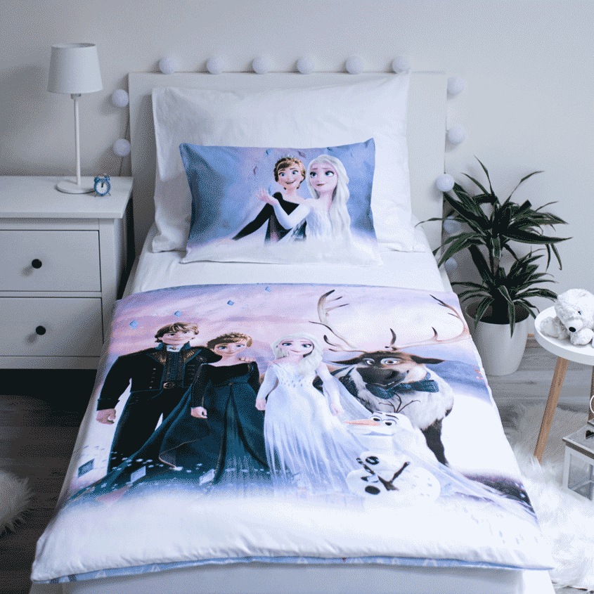 Disney povlečení do postýlky Frozen Elements baby 100x135, 40x60 cm