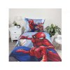 povleceni spiderman 04 3 dadka vracov