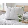 polstar aloe vera bily 45x60 cm interier