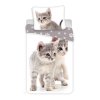 kittengrey hlavni1