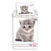 Kitten colour