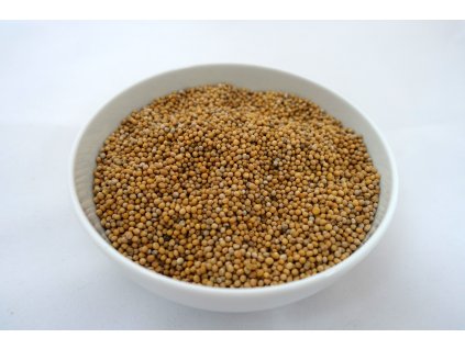 Hořčice bílá celá 1