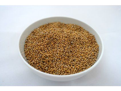 Hořčice bílá celá 1