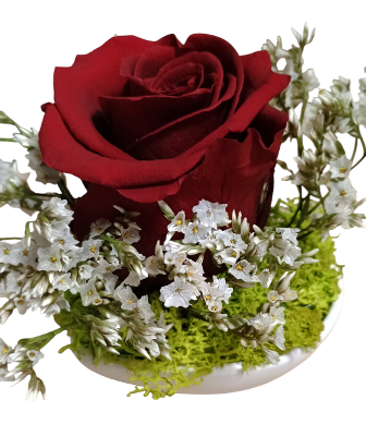 Význam kvetov - ruža